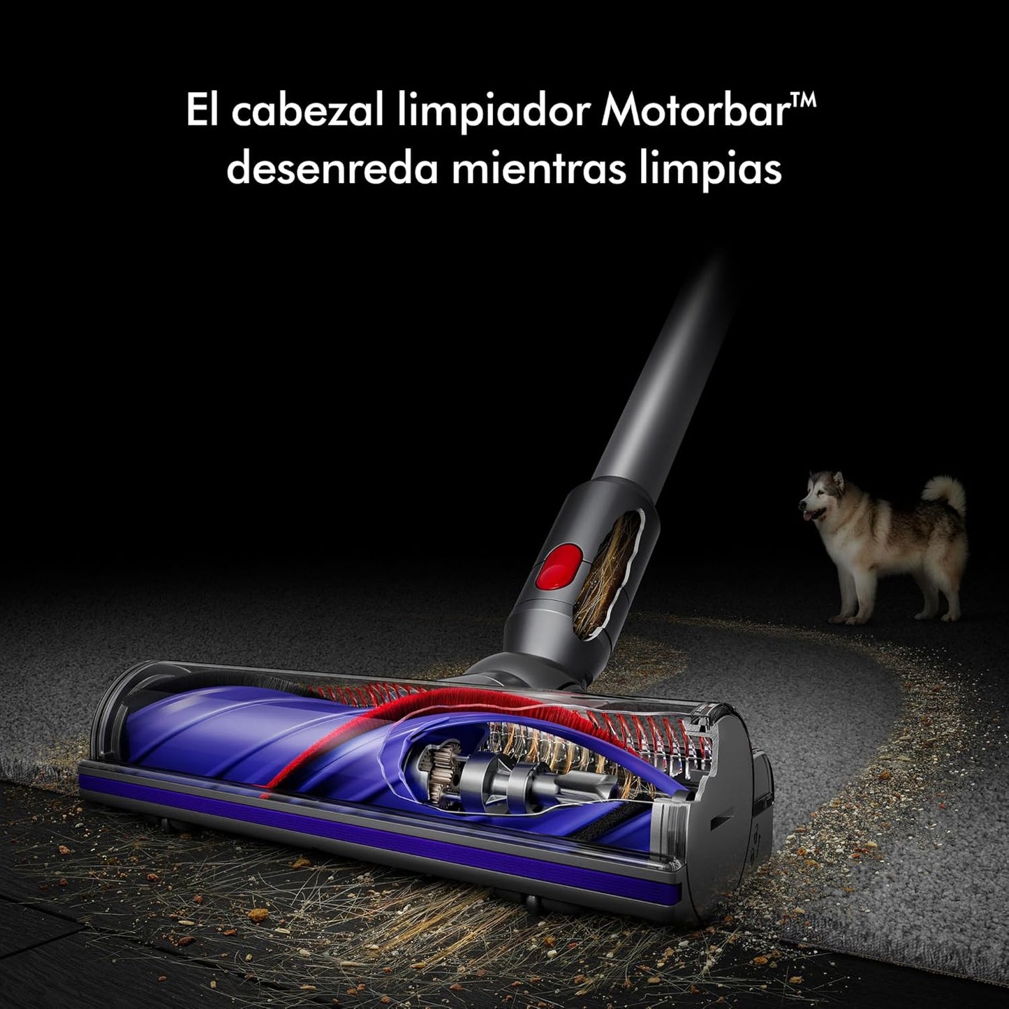Dyson V8 Absolute Aspiradora inalámbrica | Plata