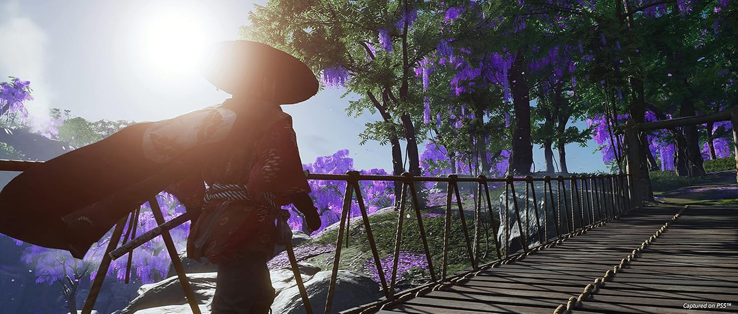 Ghost of Tsushima Director's Cut - Special Edition - PlayStation 5