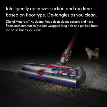 Dyson Outsize+ Aspiradora inalámbrica, níquel/Rojo