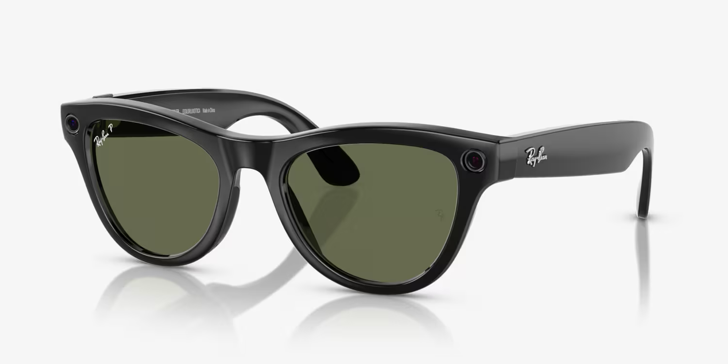 Ray-Ban |  META SKYLER Sunglasses in Black and G-15 Green