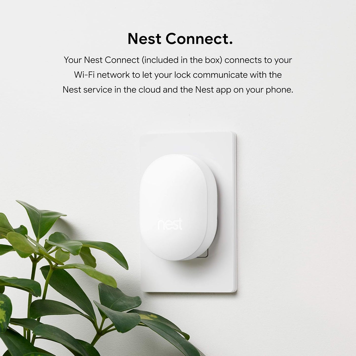 Google Nest x Yale Lock with Nest Connect, Satin Nickel